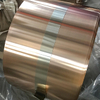 C17200 Beryllium Copper Strip