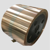 C17500 Beryllium Copper Strip